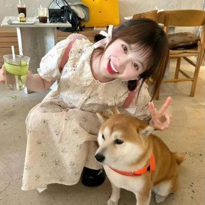 感染列岛
